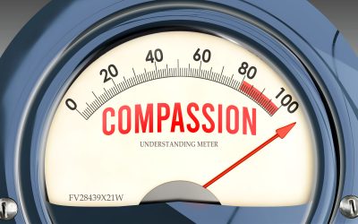 What We Measure, We Value